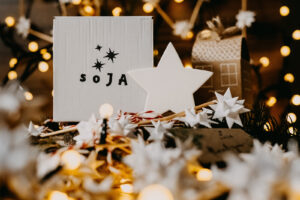 soJA .:. Swiece Sojowe