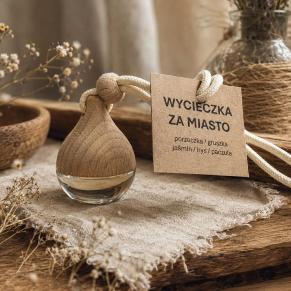 WYCIECZKA ZA MIASTO