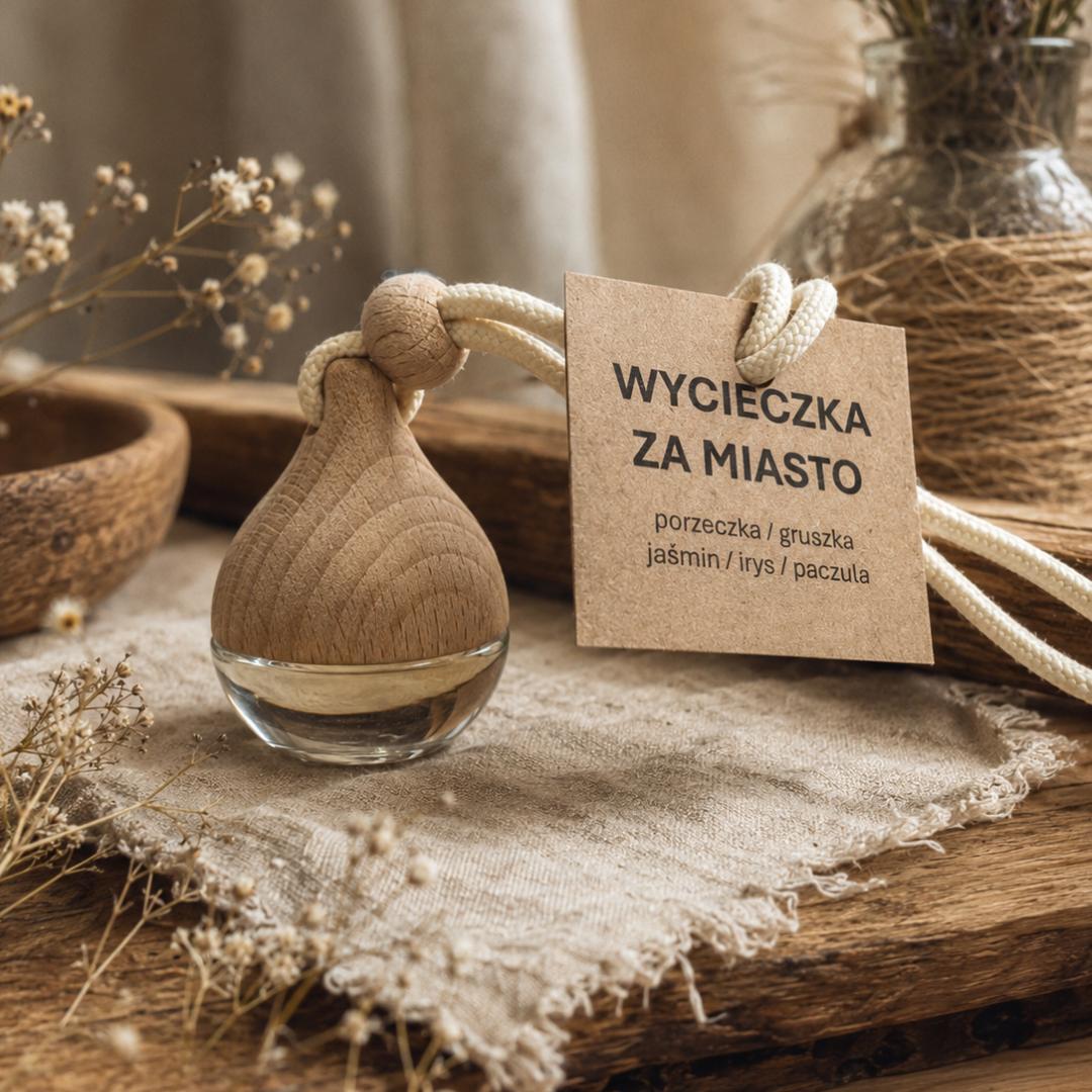 WYCIECZKA ZA MIASTO